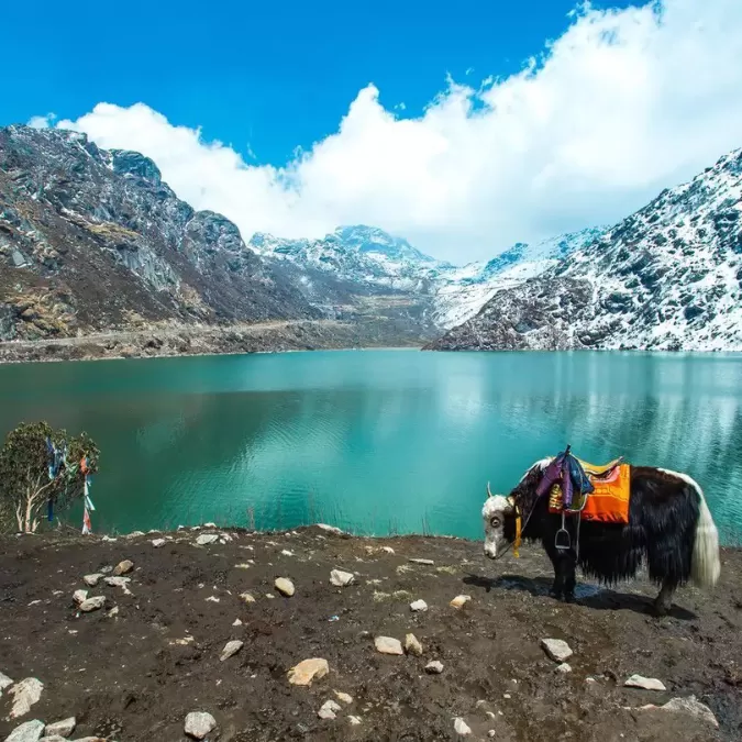 North East (Gangtok, Pelling & Darjeeling)