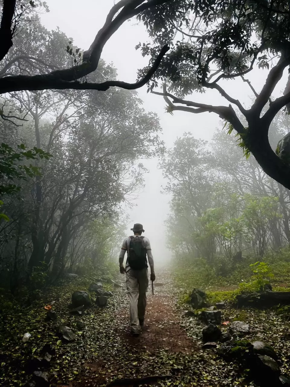 Bhimashankar Jungle Trek